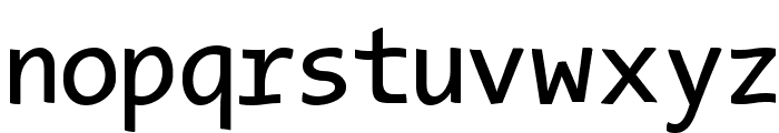 TypeWritersSubstitute Font LOWERCASE