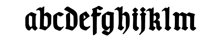 TypographerGotischD-Bold Font LOWERCASE