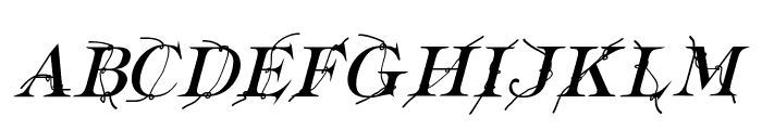 Typography ties Italic Font UPPERCASE
