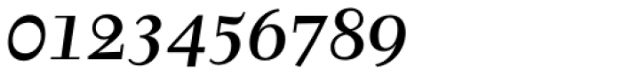 Tyfa Std Medium Italic Font OTHER CHARS