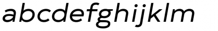 Typold Extended Italic Font LOWERCASE