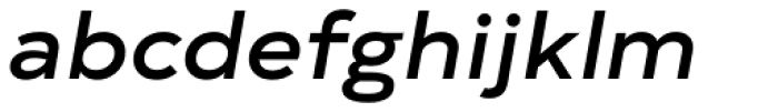 Typold Extended Medium Italic Font LOWERCASE