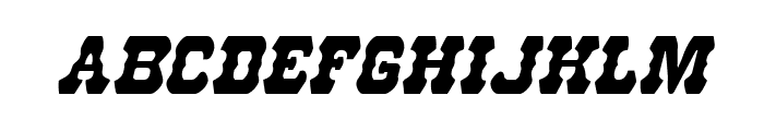 U.S. Marshal Condensed Italic Font LOWERCASE