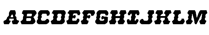 U.S. Marshal Semi-Italic Font UPPERCASE
