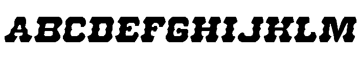 U.S. Marshal Semi-Italic FONT