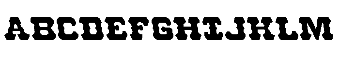 U.S. Marshal Semi-Leftalic Font UPPERCASE
