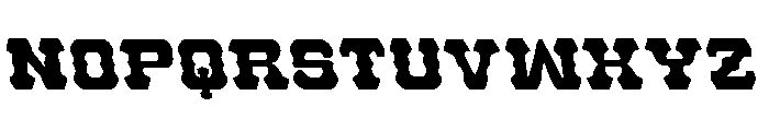 U.S. Marshal Semi-Leftalic Font LOWERCASE