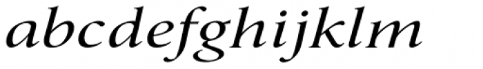 Umerica Wide Italic Font LOWERCASE