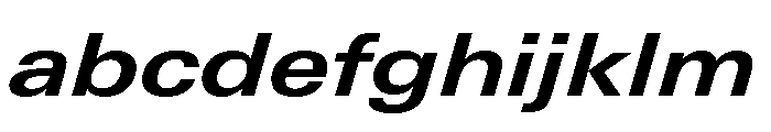 Univers Next Pro Bold Extended Italic FONT