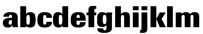Univers Next Pro ExtraBlack Condensed FONT