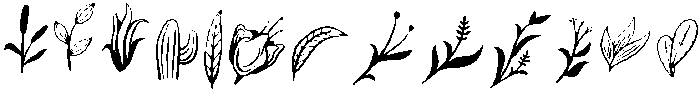 Unnamed-Regular otf (400) FONT