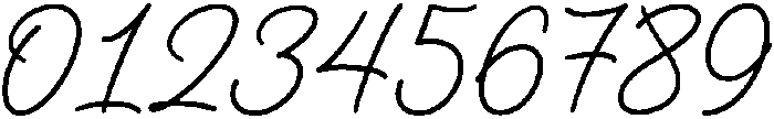 Unnamed Regular otf (400) Font OTHER CHARS