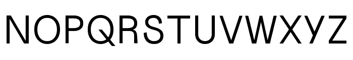 Uncut Sans VF Regular Font UPPERCASE