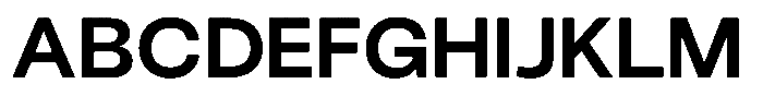 UNCMMN Plygrnd Bold Font UPPERCASE