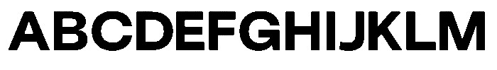 UNCMMN Plygrnd Extrabold Font UPPERCASE