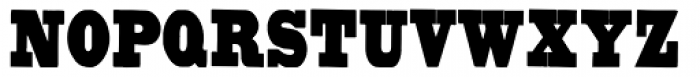 Untitled Wood Type Thin Font UPPERCASE