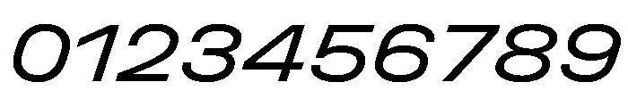 Unifora ExpandedRegularItalic Instance Font OTHER CHARS