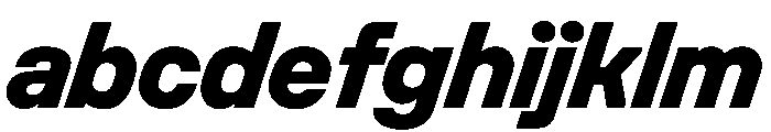 Unifora ExtraboldItalic Instance FONT