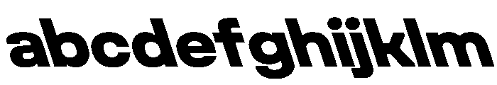 Unifora SemiexpandedExtraboldRetalic Instance FONT