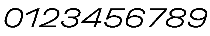 UniforaExpanded LightItalic Instance Font OTHER CHARS