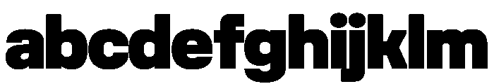 UniforaStandard Black Instance FONT