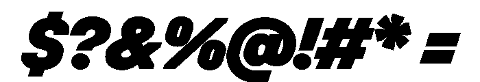 UniforaStandard BlackItalic Font OTHER CHARS