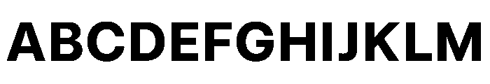 UniversalSansText Bold Font UPPERCASE