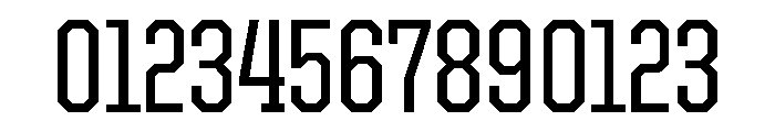 United Serif Condensed Medium Font OTHER CHARS