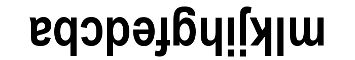 Upside Down Sans Serif Narrow Bold Font LOWERCASE