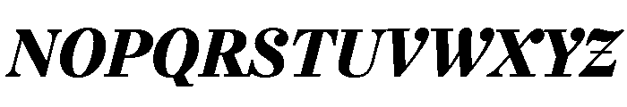 Urge Text Black Italic Font UPPERCASE