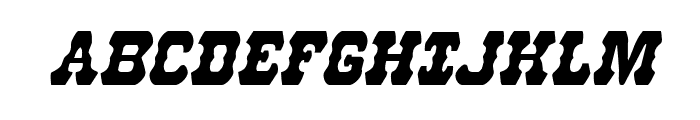 U.S. Marshal Condensed Italic Sample