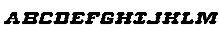 U.S. Marshal Expanded Italic Sample