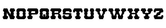 U.S. Marshal Regular Font UPPERCASE