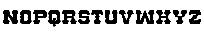U.S. Marshal Regular Font LOWERCASE