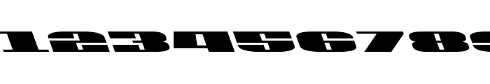 U.S.A. Leftalic Font OTHER CHARS