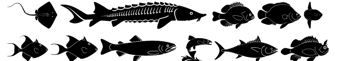 USF Fish Regular Font LOWERCASE