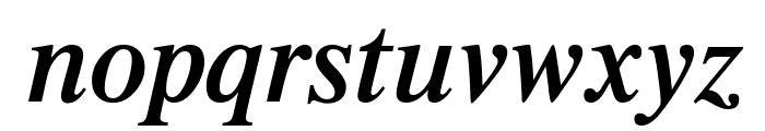 UTMTimesBold Italic Font LOWERCASE