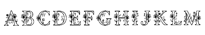 Vaasa Regular FONT