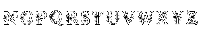 Vaasa Regular Font LOWERCASE