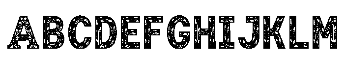 Varion Regular FONT