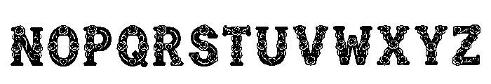 Varvik Regular Font LOWERCASE