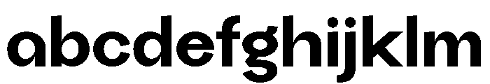 Vasted FONT