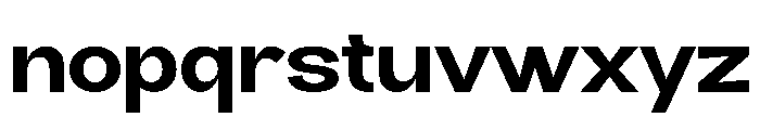 Vasted Font LOWERCASE