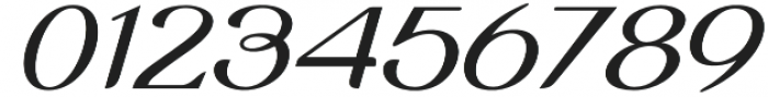 Vailsnick Italic otf (400) Font OTHER CHARS
