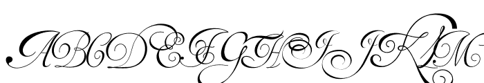 Van den Velde Script Font UPPERCASE