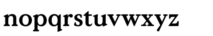 Value Serif Pro Bold Font LOWERCASE