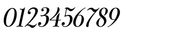 Vandelvira Italic Font OTHER CHARS
