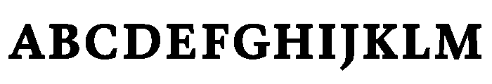 ValkyrieACapsBold Font UPPERCASE