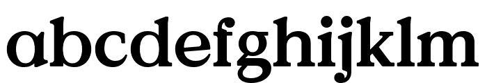 Value Serif Bold Font LOWERCASE