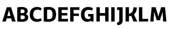 VanSans Bold Font UPPERCASE